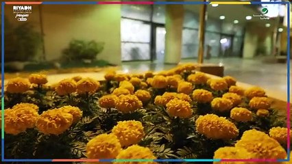 محمد عبده يرد بطريقة طريفة على عدد ابنائه ويكشف حقيقة اعتزاله