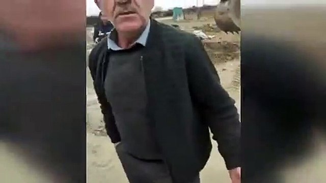 AKP'li Belediye iş makinesiyle sokak köpeklerini gömerken yakalandı