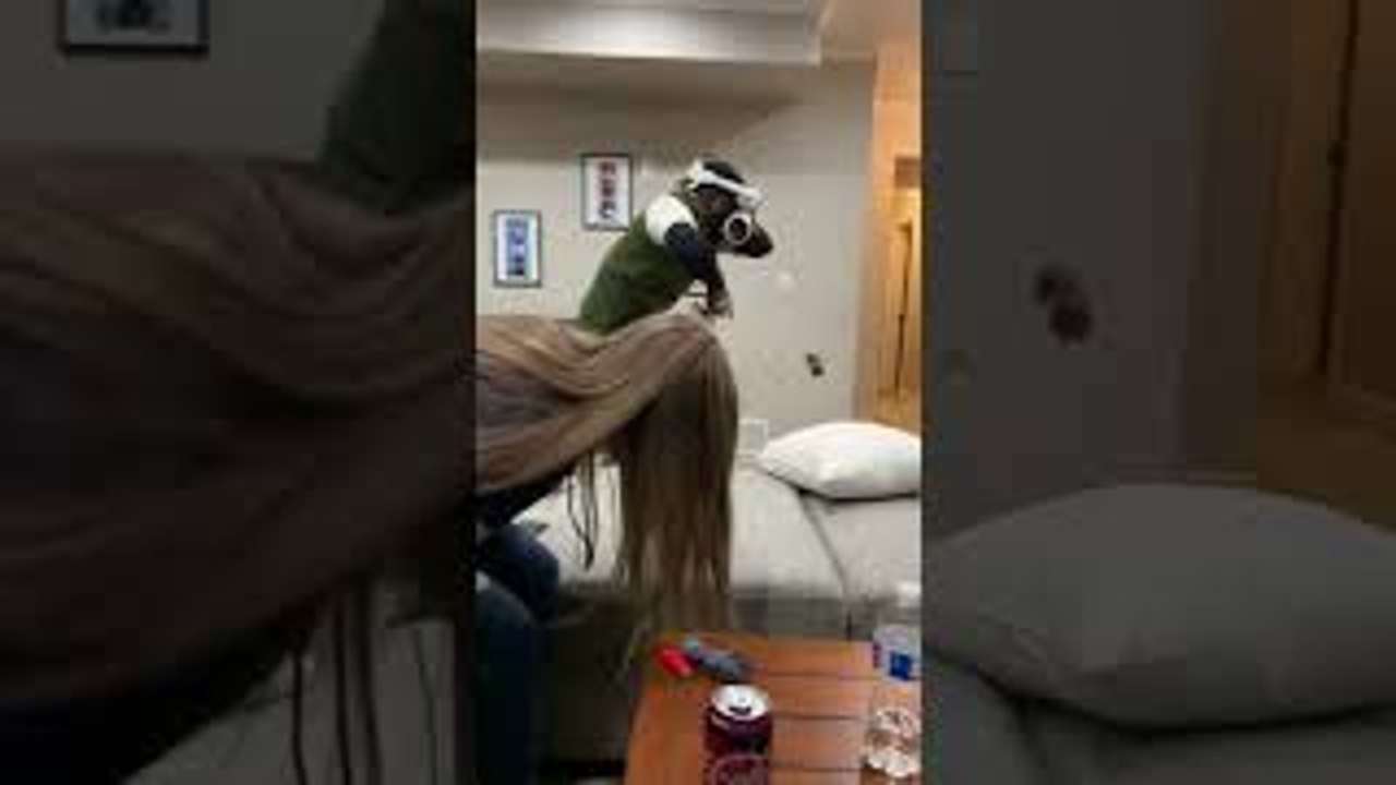 First Time VR Player Runs into Wall video Dailymotion