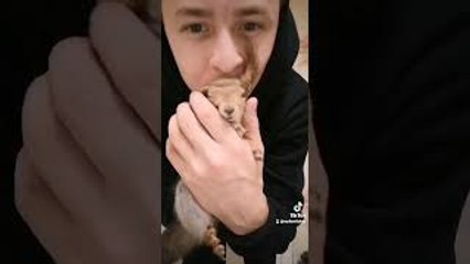 Pet Squirrel Crawls All Over Guy