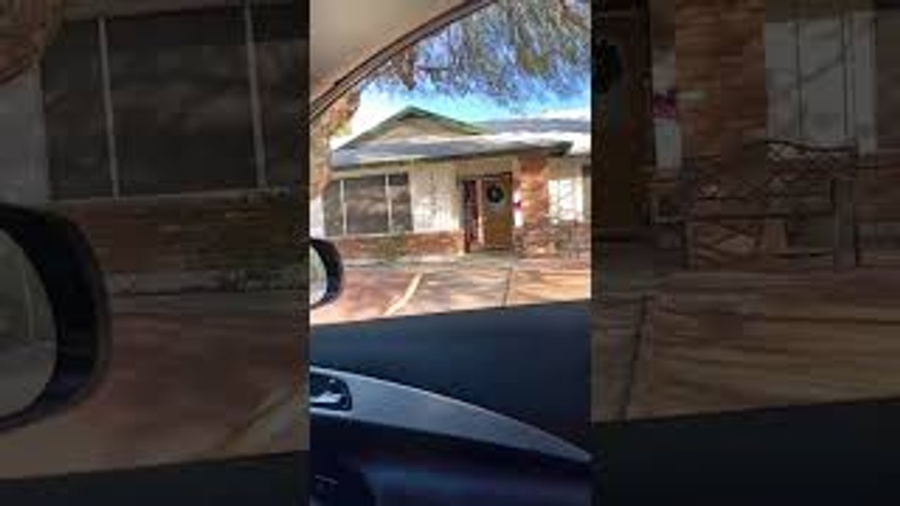 Dog Jumps Through Car Window