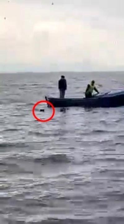 Gölün ortasındaki köpeği işte böyle kurtardılar