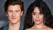 Shawn Mendes & Camila Cabello's Relationship Status Revealed After Miami Trip