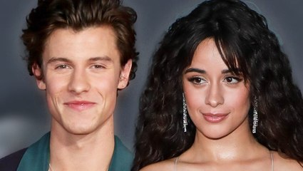 Shawn Mendes & Camila Cabello's Relationship Status Revealed After Miami Trip