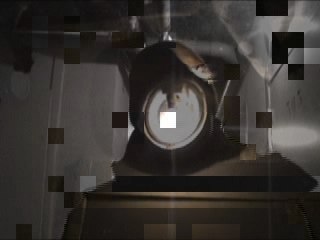 Clip l'impasse
