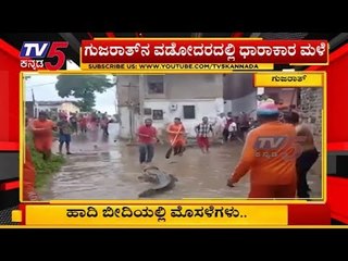 ಮಳೆಯಿಂದ ಹಾದಿಬೀದಿಗೆ ಬಂದ ಮೊಸಳೆಗಳು | Gujarat | TV5 Kannada