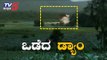 ಒಡೆದ ಚಿಗಳ್ಳಿ ಡ್ಯಾಂ | Chigalli Dam in Uttara Kannada Collapses Due to Heavy Inflow | TV5 Kannada