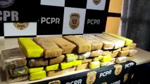 Denarc apreende 31 kg de maconha na rodoviária de Cascavel