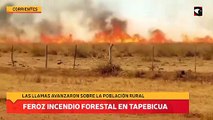 Feroz incendio forestal en Tapebicua