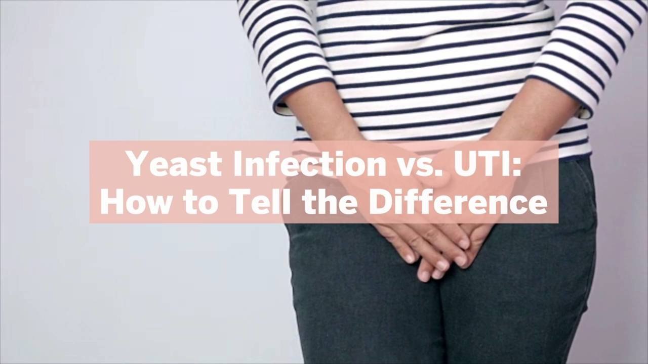 Yeast Infection vs. UTI How to Tell the Difference video Dailymotion