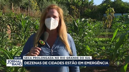 Prejuízos para produtores rurais aumentam no Rio Grande do Sul com a seca prolongada. Uma onda de calor de mais de 40 graus só agrava a situação
