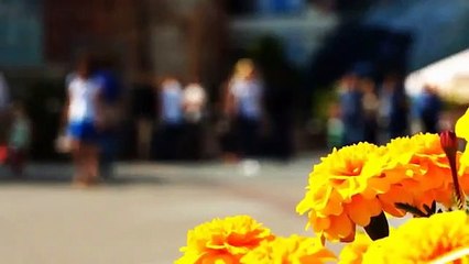 A vendre - Appartement - CHANTELOUP-EN-BRIE (77600) - 3 pièces - 62m²