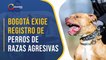 Cómo registrar en Bogotá a perros de razas agresivas y evitar ser multado por la Alcaldía