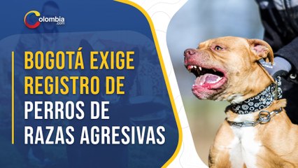 Скачать видео: Cómo registrar en Bogotá a perros de razas agresivas y evitar ser multado por la Alcaldía