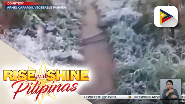 Ilang lugar sa Atok, Benguet, nakaranas ng frost