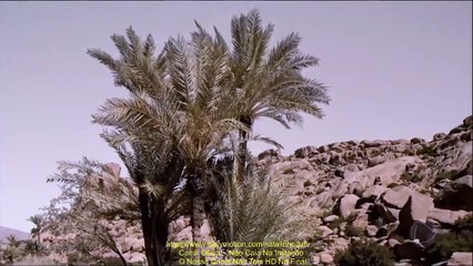 NOVELA A BÍBLIA - Cap 37 - 12/01/2022 - SEM INTERVALO - PARTE 1