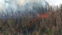 Bombeiros combatem incêndio florestal perto de Buenos Aires