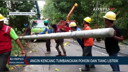 Angin Kencang Tumbangkan Pohon dan Tiang Listrik