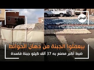 ضبط أكبر مصنع به 37 ألف كيلو جبنة فاسدة.. بيعملها من دهان الحوائط وبينضفوها بفرشة حمام