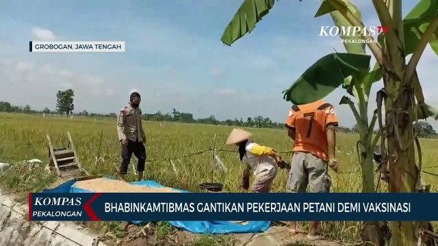 Bhabinkamtibmas Gantikan Pekerjaan Petani Demi Terlaksanakannya Vaksinasi