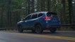 2022 Subaru Forester - Das SUV fürs Gelände - Übersicht