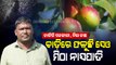 Special Story | Gram Rozgar Sevak From Odisha’s Keonjhar Successfully Grows Red Apple Berry