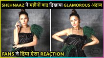 Shehnaaz Gill Posts GLAMOUROUS Pictures After A Very Long Time | Fans Reacts