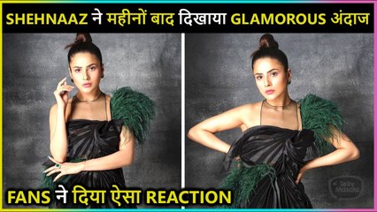 Shehnaaz Gill Posts GLAMOUROUS Pictures After A Very Long Time | Fans Reacts