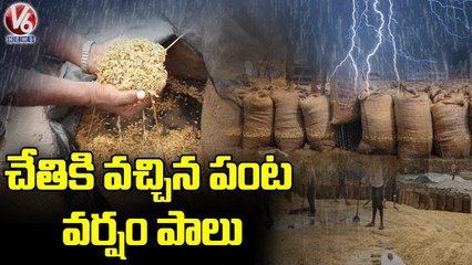 Rain Hits Several Areas In Hyderabad And Telangana _ V6 News