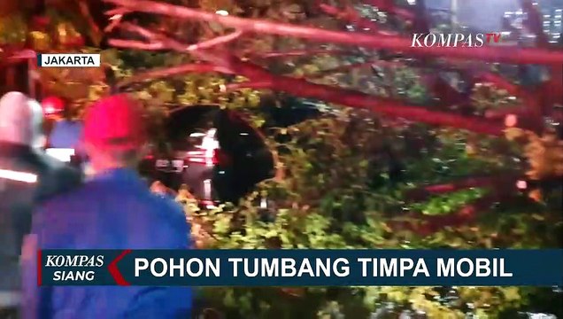 Indonesia Masih Berpotensi Cuaca Buruk, BMKG Imbau Warga Waspadai Hujan Deras dan Angin Kencang