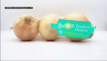 Cebollas sin lágrimas pero mucho más caras que las normales, llegan al mercado