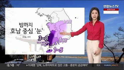 [날씨] 밤까지 호남 중심 '눈'…내일 아침도 강한 한파