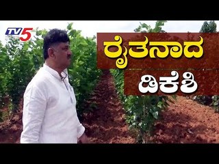 ಟ್ರಬಲ್ ಶೂಟರ್ ಈಗ ರೈತರಿಗೆ ಬೆನ್ನಲುಬು | Congress DK Shivakumar | Ramnagar | TV5 Kannada