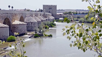 Historias del agua - Tráiler -