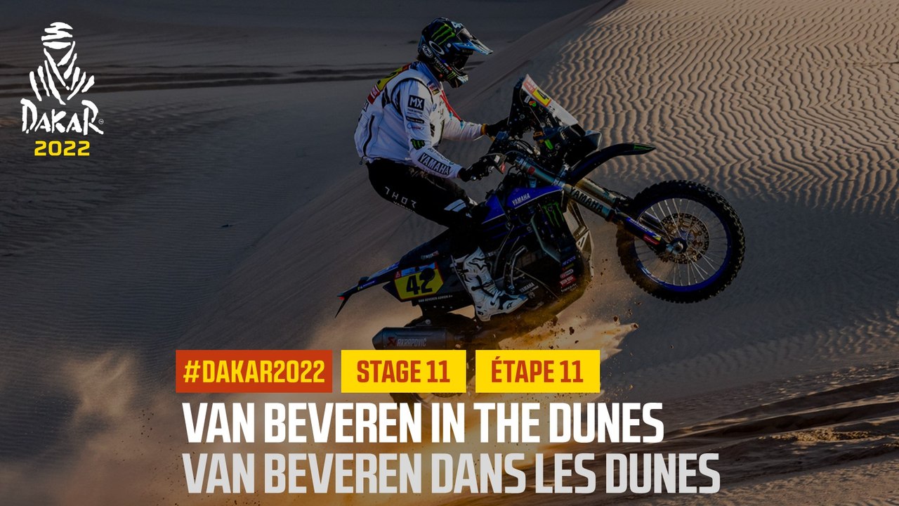 Van Beveren in the dunes / Van Beveren dans les...