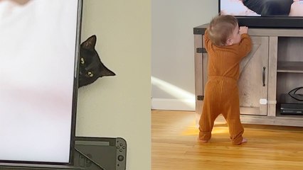 'Skittish cat hides behind TV to avoid getting seen by baby boy'