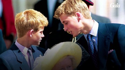 GALA Prince Harry : ce qu'il faut connaître