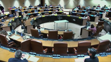 Séance plénière du Conseil municipal des enfants du 12 janvier 2022