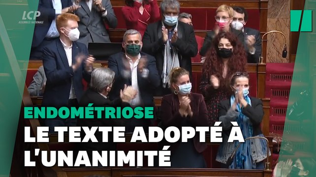 Les députés adoptent à l'unanimité la proposition LFI sur l'endométriose