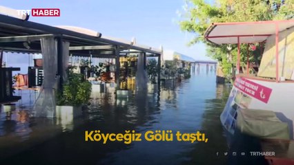 Muğla'da şiddetli yağışlar taşkınlara neden oldu