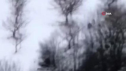 Antalya'da domuz avına giden avcı, domuzun saldırısına uğradı