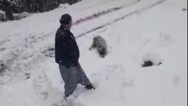 Hayvanlara yem vermeye gittiler, 1500 metrede mahsur kaldılar