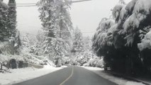 Couple Drives Through Picturesque Snow Covered Forest