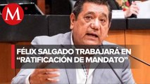 Félix Salgado pide licencia para separarse del cargo de senador