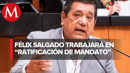 Félix Salgado pide licencia para separarse del cargo de senador