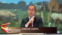 Carlos Cuesta: La Fiscalía desenmascara a Oltra: desvela que ocultó pruebas del abuso de su marido a una menor