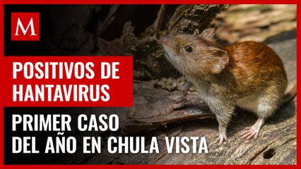 Primer caso de hantavirus en Chula Vista: Un roedor dio positivo
