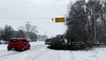 Power outages reported as trees come down in South Carolina