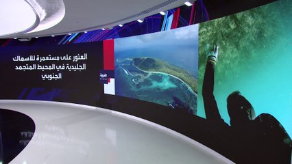 لغز جديد لمستعمرة تضم نحو 60 مليون حاضنة للسمك الجليدي