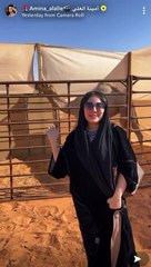 أمينة العلي تعلن امتلاكها لناقة "بكرة باتلية" بقيمة مليون دولار